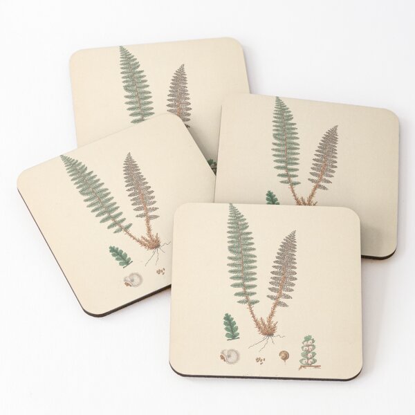 Item preview, Vintage Fern designed and sold by refineryn1.