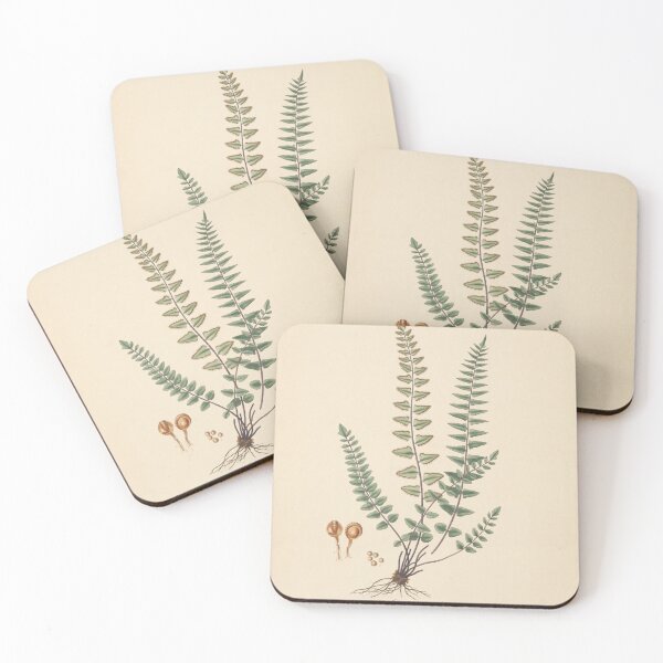 Item preview, Vintage Fern designed and sold by refineryn1.