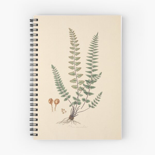 Item preview, Vintage Fern designed and sold by refineryn1.