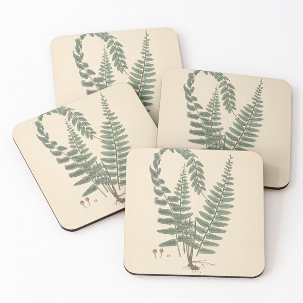 Item preview, Vintage Fern designed and sold by refineryn1.
