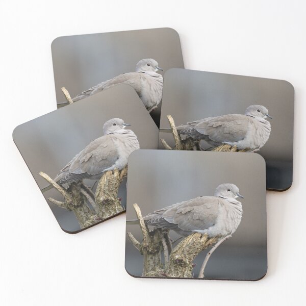 Item preview, Red-Eyed Dove designed and sold by rawshutterbug.
