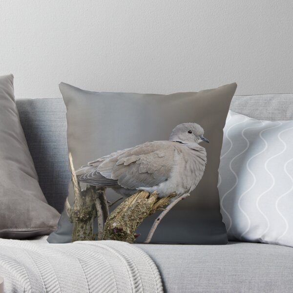 Item preview, Red-Eyed Dove designed and sold by rawshutterbug.