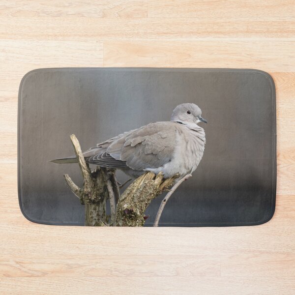 Item preview, Red-Eyed Dove designed and sold by rawshutterbug.