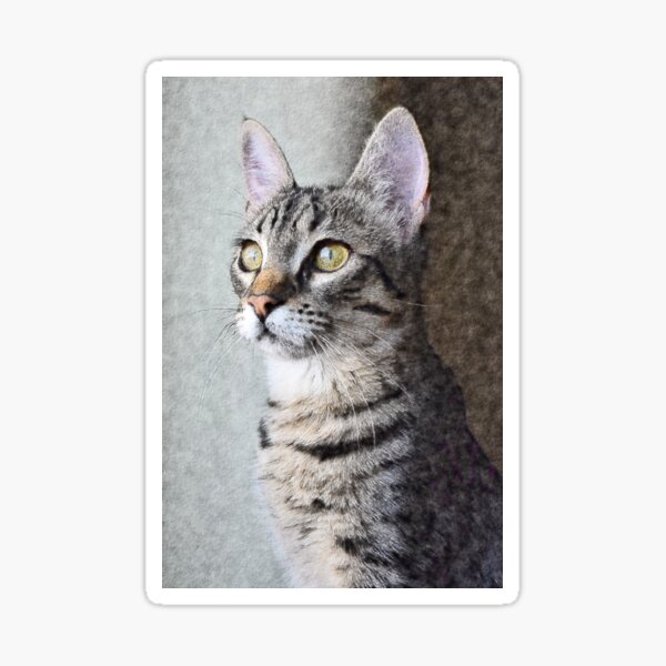 Stately Cat Sticker