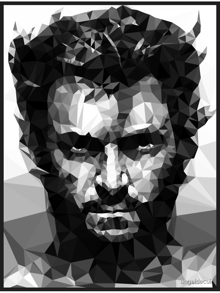 Logan Lowpoly BN de angeldecuir