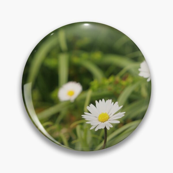 Item preview, Oxeye Daisy - Moon Daisy flowers designed and sold by santoshputhran.