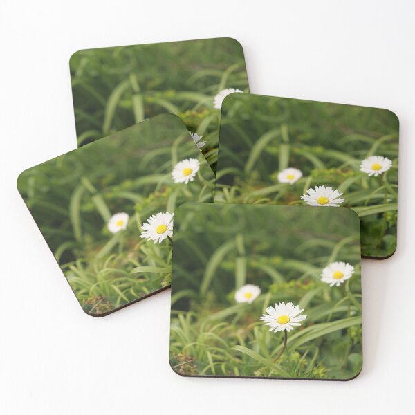 Item preview, Oxeye Daisy - Moon Daisy flowers designed and sold by santoshputhran.