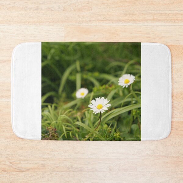 Item preview, Oxeye Daisy - Moon Daisy flowers designed and sold by santoshputhran.