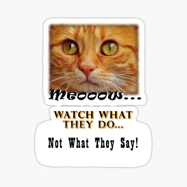The Watcher Series 3 Sticker