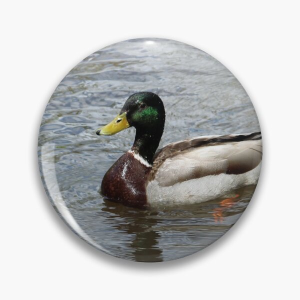 Item preview, Drake Mallard Duck designed and sold by Susie Kramer.
