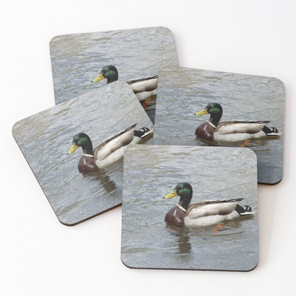 Aperçu de l'œuvre Drake Mallard Duck créée et vendue par Susie Kramer.