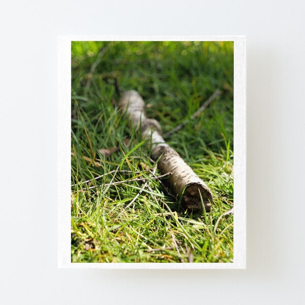 A twig - thin branch of a tree Canvas Mounted Print