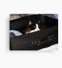 If I hide in here, maybe I can sneak on the vacation with you.... Canvas Print