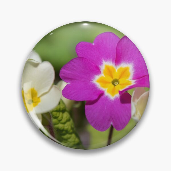 Item preview, Primroses designed and sold by JEZ22.