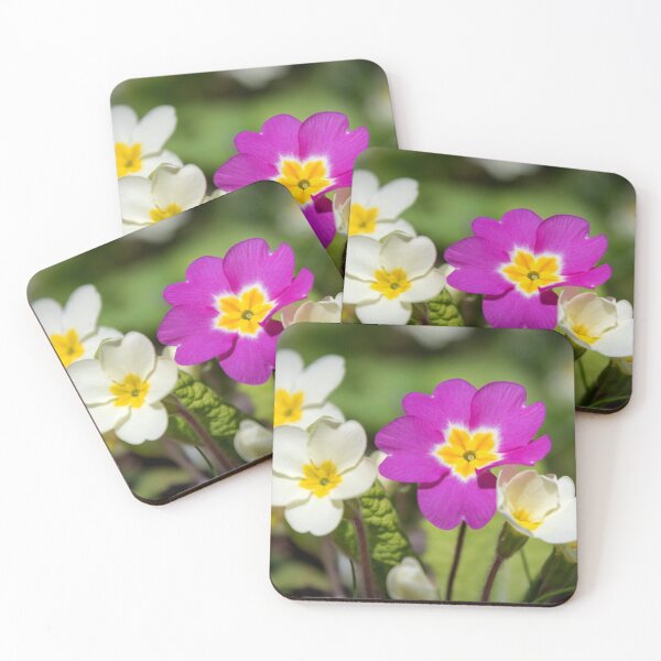 Item preview, Primroses designed and sold by JEZ22.
