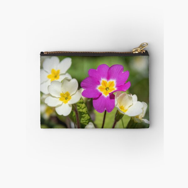 Item preview, Primroses designed and sold by JEZ22.