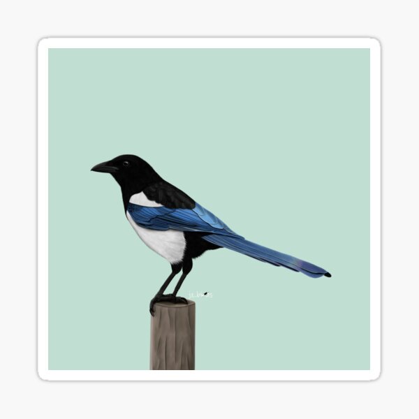 Blue Jay Doodle Tiny and Cute Sticker for Sale by bassoongirl123