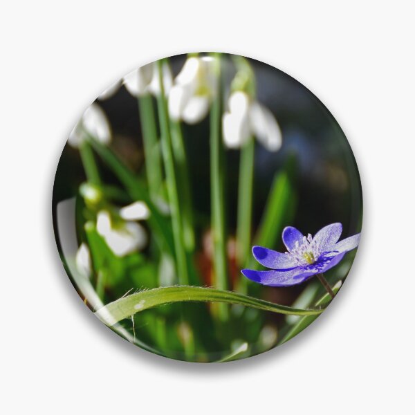 Item preview, Spring flowers | Nature photography designed and sold by Mii-pics.