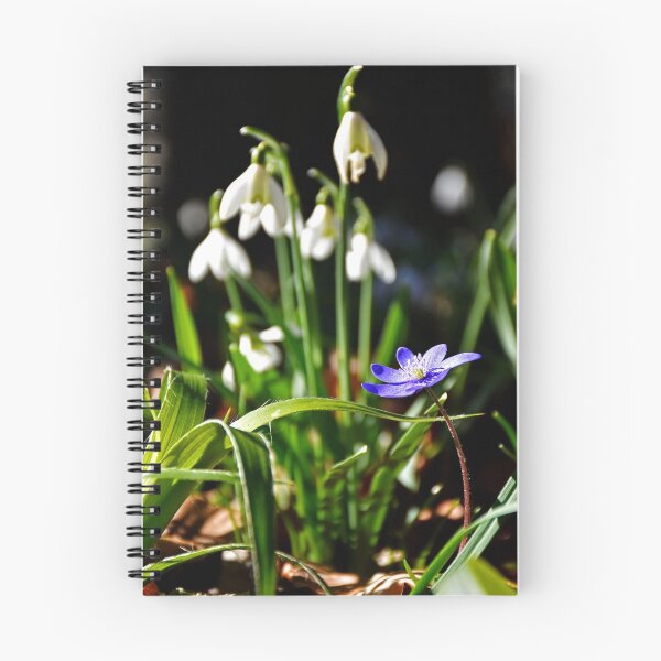 Item preview, Spring flowers | Nature photography designed and sold by Mii-pics.