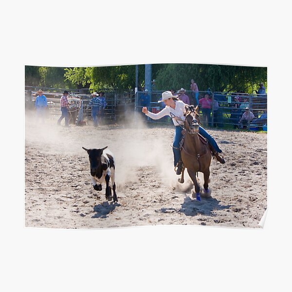 Moruya Rodeo New Years Day 2012 Poster