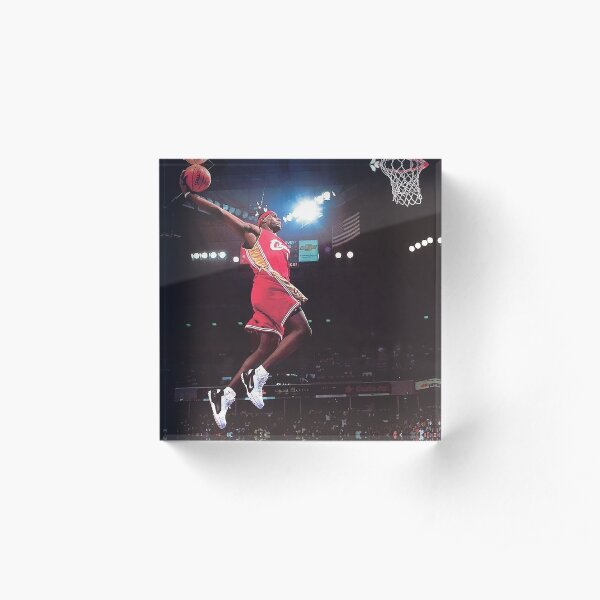 Lebron James Dunk Acrylic Block