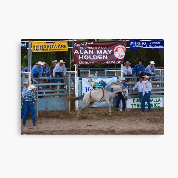 Moruya Rodeo New Years Day 2012 Canvas Print