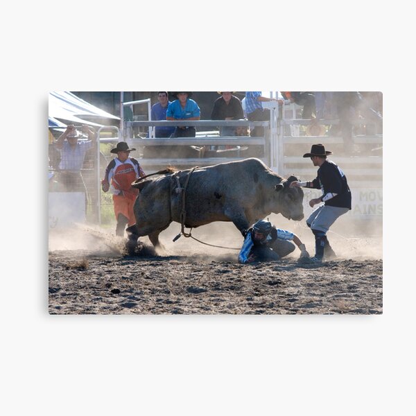 Moruya Rodeo New Years Day 2012 Metal Print