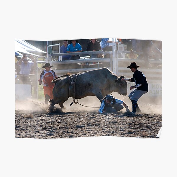 Moruya Rodeo New Years Day 2012 Poster