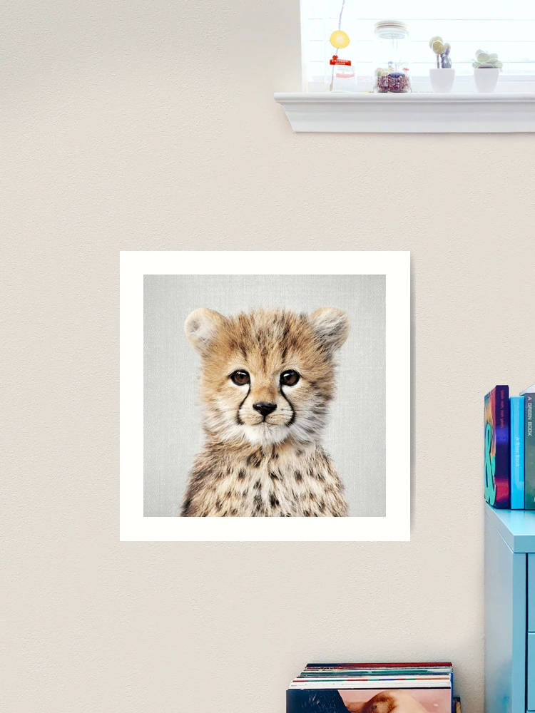 Cheetah Canvas Wall Art by Gal Design