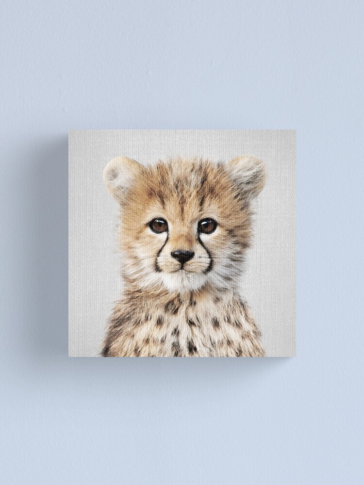 Baby Cheetah - Colorful Art Print by Gal Design