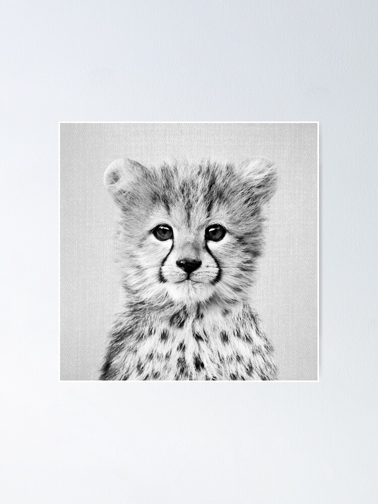 Poster Bebe Guepard Noir Et Blanc Par Galdesign Redbubble