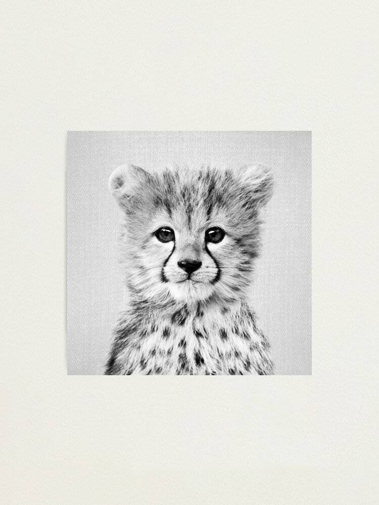 Baby Cheetah - Black & White Photographic Print for Sale by