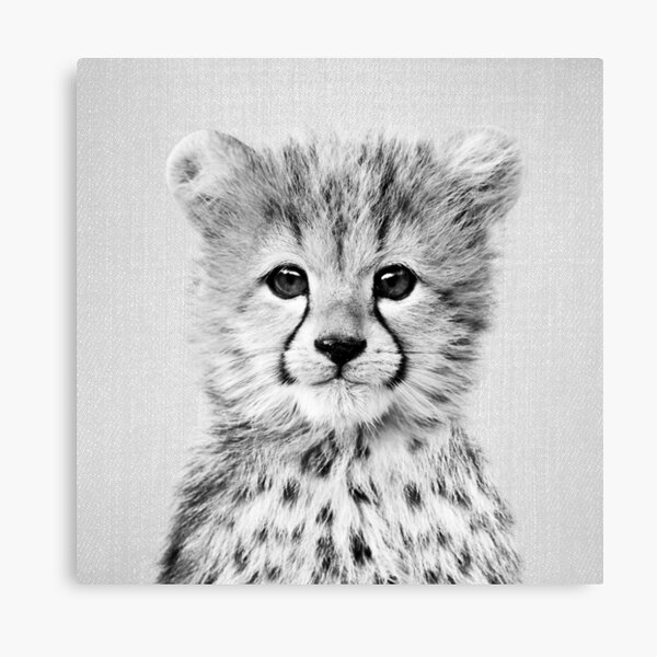 Baby Cheetah Black White Canvas Print By Galdesign Redbubble