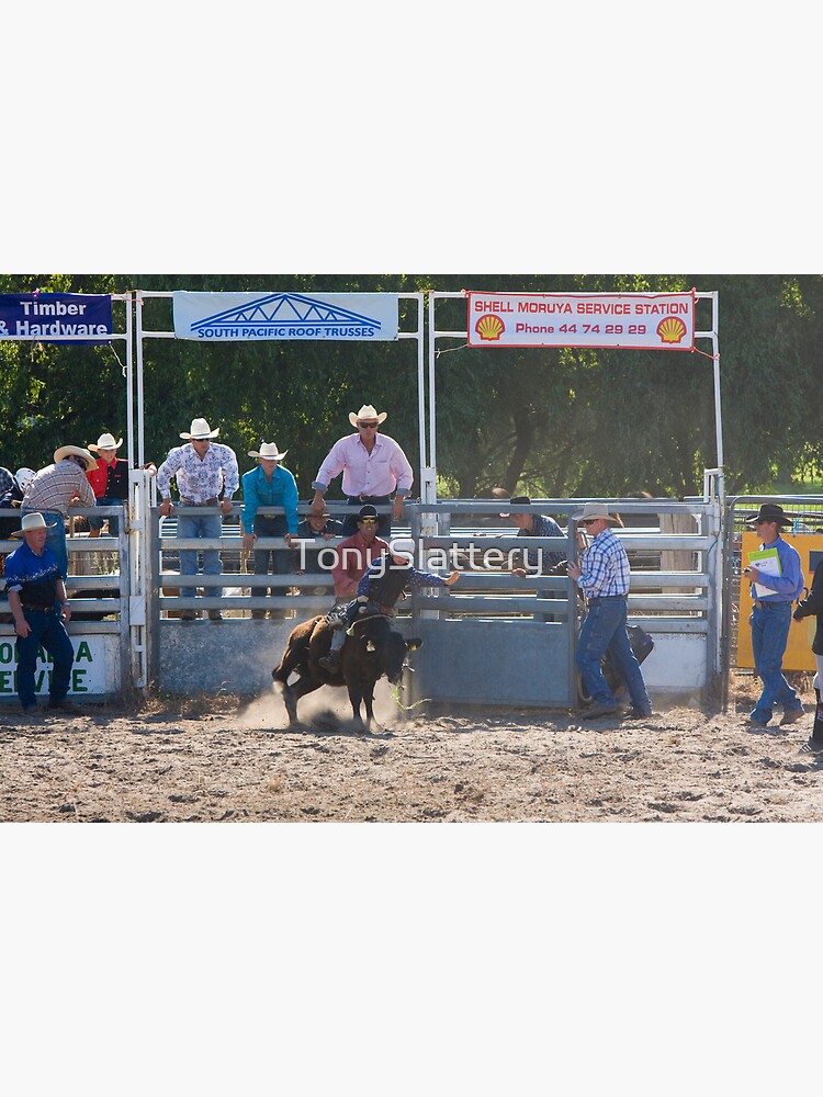 Moruya Rodeo New Years Day 2012 by TonySlattery