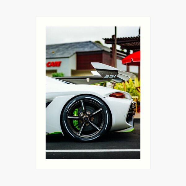 251 Art Print