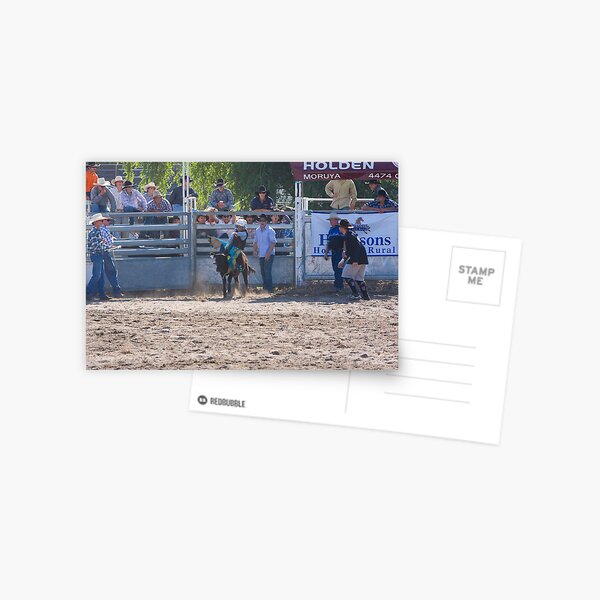 Moruya Rodeo New Years Day 2012 Postcard