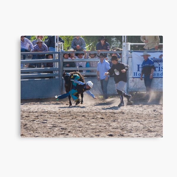 Moruya Rodeo New Years Day 2012 Metal Print
