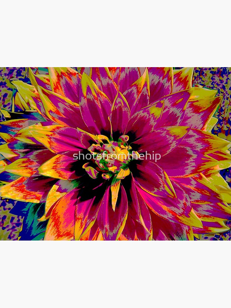 “Extreme Dahlia Ketchup & Mustard” Canvas Print for Sale by