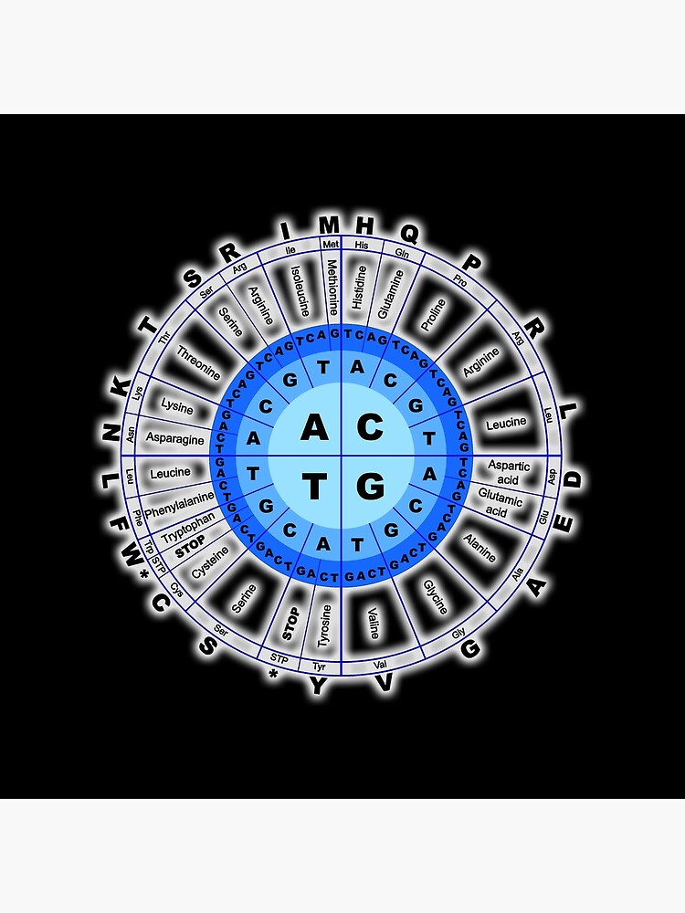 DNA. Genetic Code, Circle, Gene, Codon, Amino Acid. On Black. by TOMSREDBUBBLE