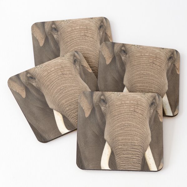Item preview, Asian Elephant designed and sold by MarkAnderson09.