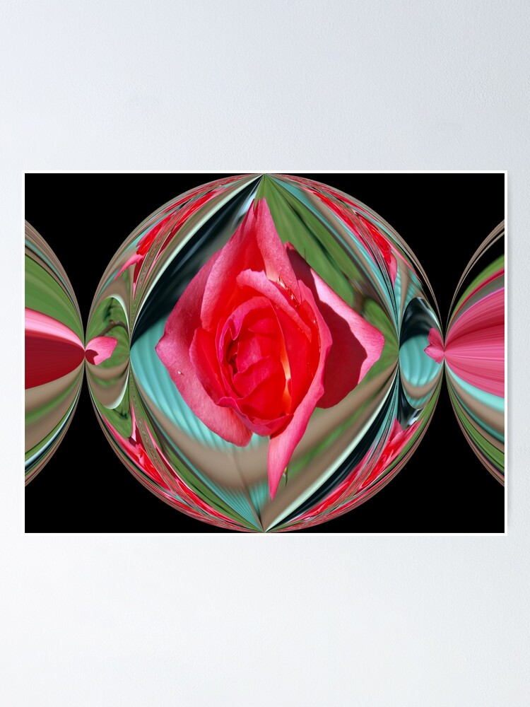 Thumbnail 1 of 3, Poster, Rose Candy designed and sold by Wayne48.
