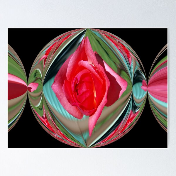 Item preview, Rose Candy designed and sold by W E NIXON  PHOTOGRAPHY.