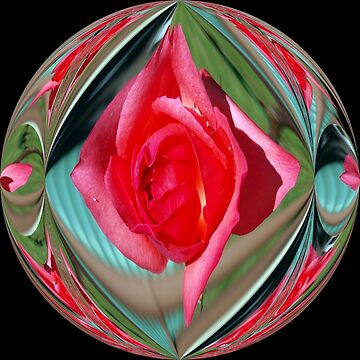 Artwork thumbnail, Rose Candy by W E NIXON PHOTOGRAPHY
