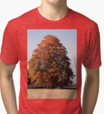 Autumn Tree Tri-blend T-Shirt