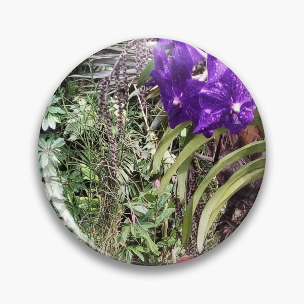 Item preview, FIJI GARDEN WALK SERIES PHOTOS Breeze Garden Walk  designed and sold by KarenBarron.