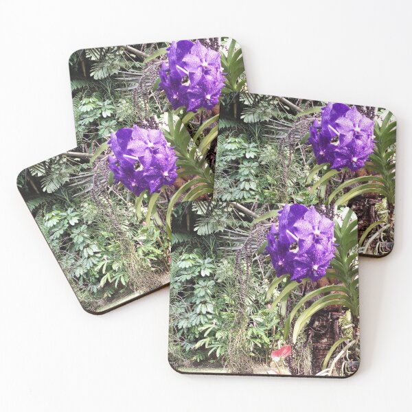 Item preview, FIJI GARDEN WALK SERIES PHOTOS Breeze Garden Walk  designed and sold by KarenBarron.