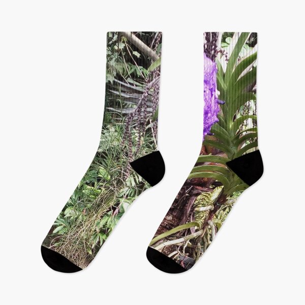 Item preview, FIJI GARDEN WALK SERIES PHOTOS Breeze Garden Walk  designed and sold by KarenBarron.