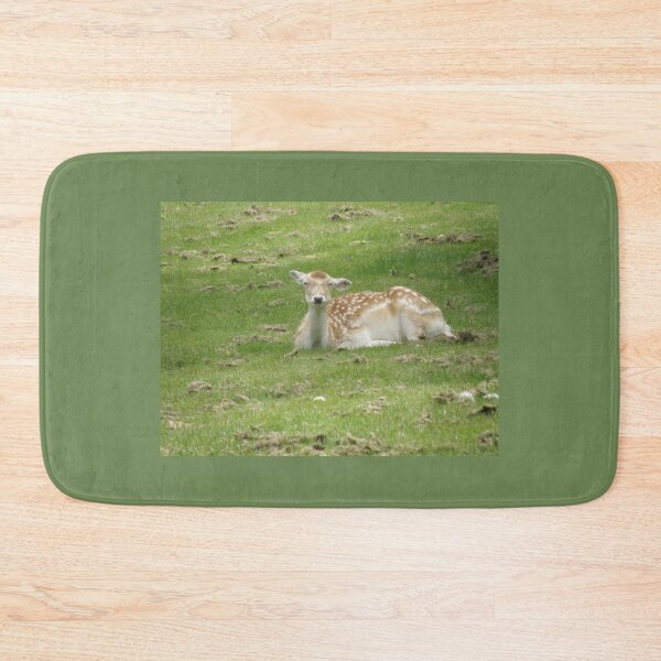 Item preview, Cute Female Fallow Deer Laying Down Photograph designed and sold by naturegallery.