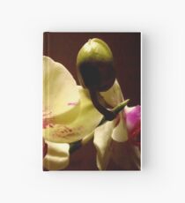 ORCHID - phalaenopsis II ^ Hardcover Journal