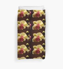 ORCHID - phalaenopsis II ^ Duvet Cover